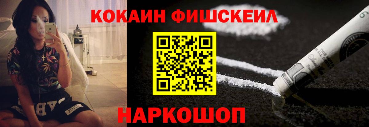 Меф Кузнецк