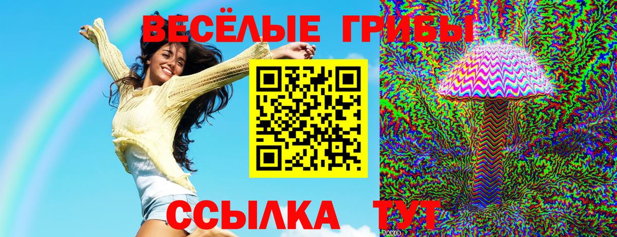 Псилоцибиновые грибы GOLDEN TEACHER  Вход с VPN  Галлюциногенные грибы Magic Shrooms  где можно купить   Кузнецк 